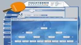 Tischtennis Manager Screenshot Ligen